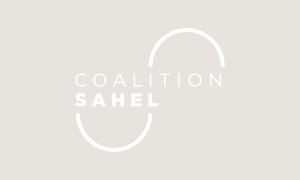 Nomination du nouveau Haut représentant de la Coalition pour le Sahel