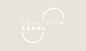 11th meeting of the Sahel Coalition’s Contact Group (May, 16 2024)